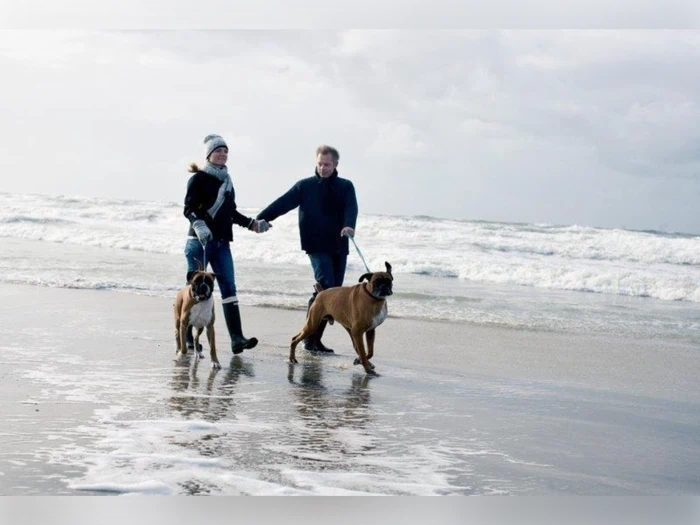 Ferie i Løkkenhytte - tæt på Vesterhavet hos Løkken Klit Camping - op til 6 personer
