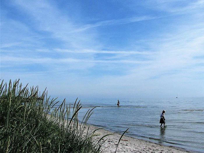 To mennesker går langs en rolig strand med blide bølger under en blå himmel med spredte skyer; højt græs vokser i sandet i forgrunden.