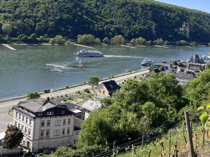 En flod med både, der sejler, omgivet af en grøn bjergside og bygninger, med en vej, der løber langs vandet, og en skovklædt bakke i baggrunden.
