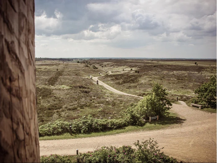 En snoet grussti løber gennem et græsklædt, åbent landskab under en overskyet himmel med spredte buske og to bænke nær stiens krydsningspunkt.