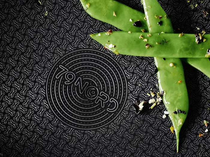 Morsø, 79NORD Hybrid, Stegepande, Stål, Satin finish, Dia:20 x L:39,3 x H:8,2 cm