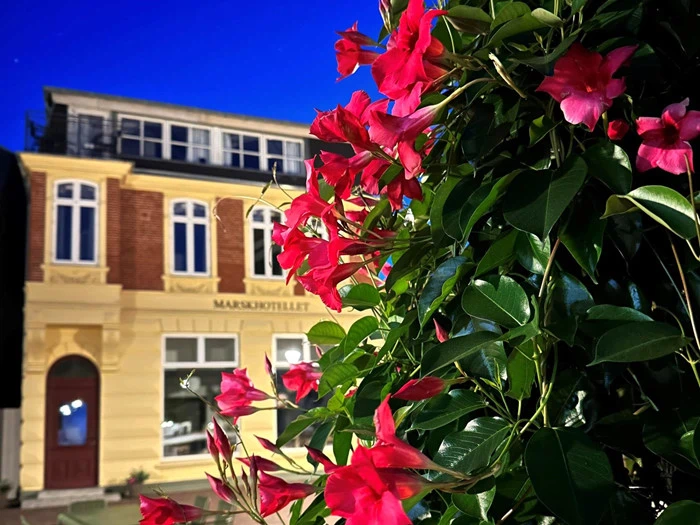 Gastronomisk luksusophold på Marsk Hotellet - Forkælelse fra start til slut