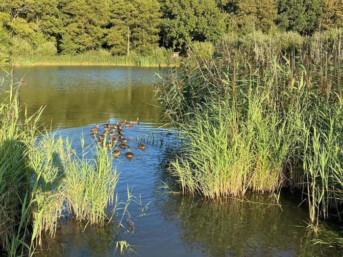 Maj glamping for 2 hos Krusmølle Glamping - Glamping i fantastisk naturområde