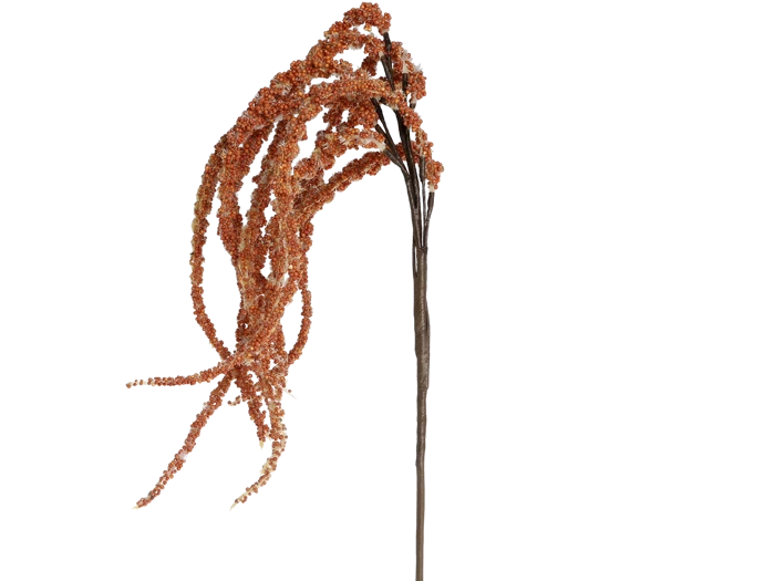 En enkelt høj, tynd brun stængel med lange, hængende klynger af små orangebrune frø på en hvid baggrund.