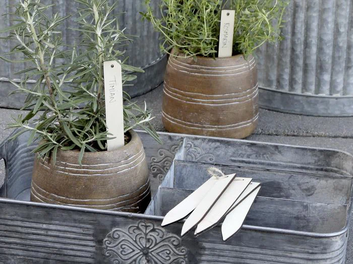 To brune potter med krydderurter mærket Timian og Rosmarin står i en metalbakke. Blanke planteetiketter og snor er placeret i et rum ved siden af potterne.