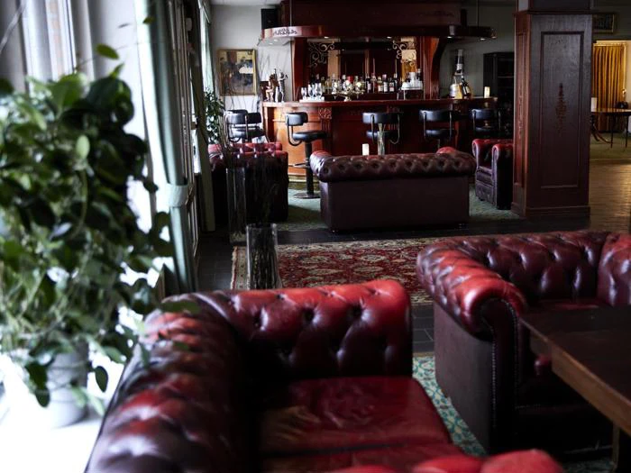 Luksuriøs lounge med røde lædersofaer, en træbar med barstole, mønstrede tæpper og planter nær store vinduer, der lukker naturligt lys ind.