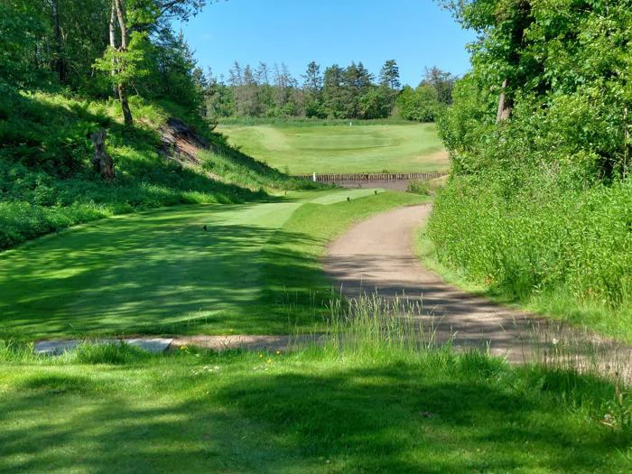 En golfbane med en grøn fairway, omgivet af træer og højt græs, og en jordsti, der bugter sig langs banen under en klar blå himmel.