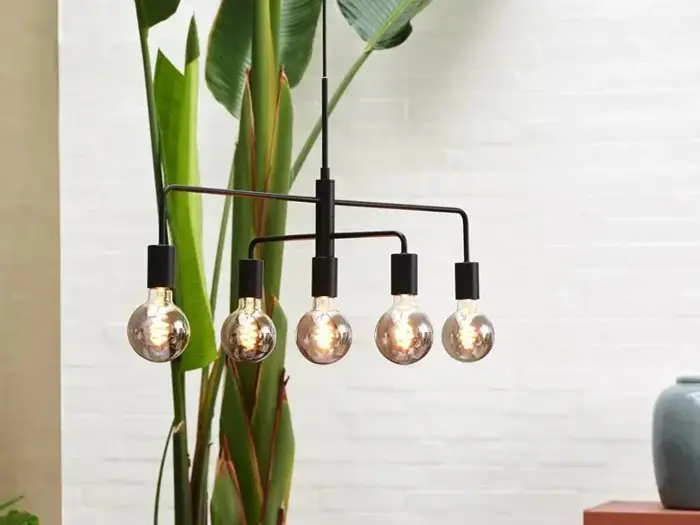Moderne lysekrone i sort metal med fem synlige runde pærer, der hænger foran høje grønne planter mod en hvid murstensvæg.