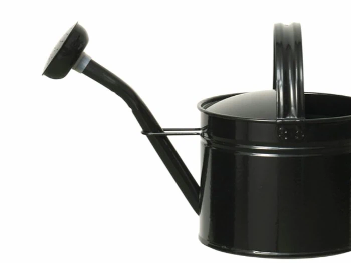 Lauvring, Alvin, Vandkande, Sort, Metal, 5 L.