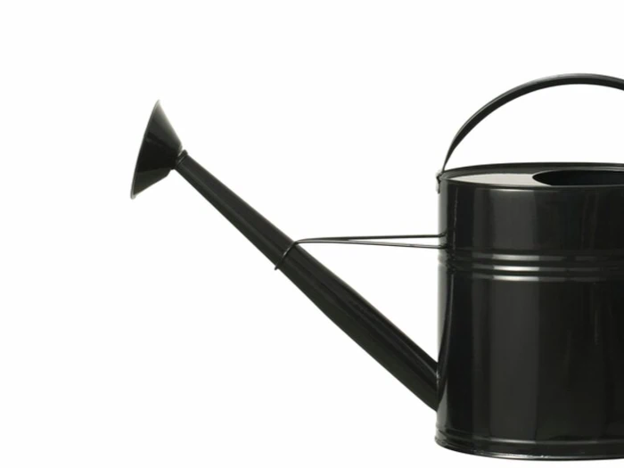 Lauvring, Alvin, Vandkande, Sort, Metal, 10 L.