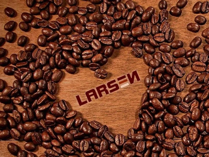 Gavekort på 350,- til Larsen Holstebro