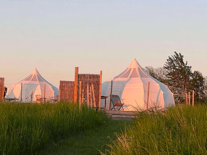 To hvide glampingtelte står midt i det høje græs ved solnedgang, med træhegn og udendørsstole i nærheden og træer i baggrunden.