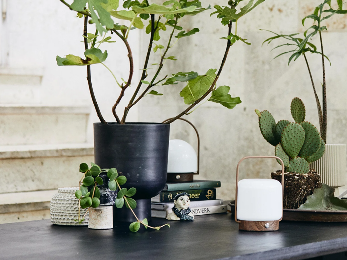 Et sort bord med potteplanter, en kaktus, bøger, en lille skulptur og to moderne bærbare lamper i et lyst rum med stenvægge.