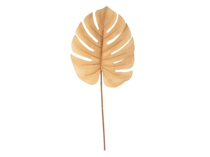 Et enkelt tørret monstera-blad med en lang stilk, lysebrunt i farven, mod en hvid baggrund.