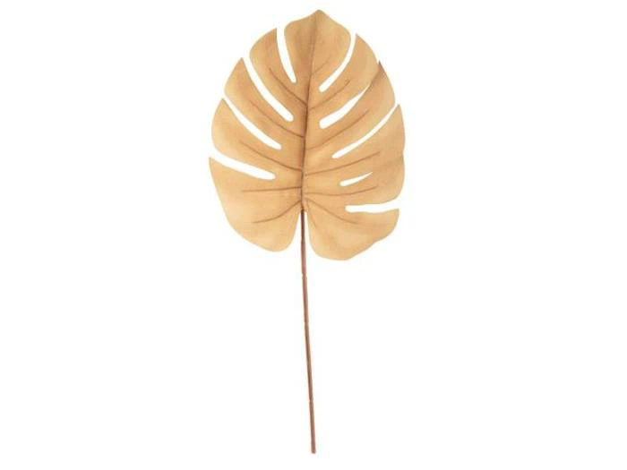 Et enkelt tørret, brunt monstera-blad med dybe sprækker, fastgjort til en lang, tynd stilk, isoleret på en hvid baggrund.