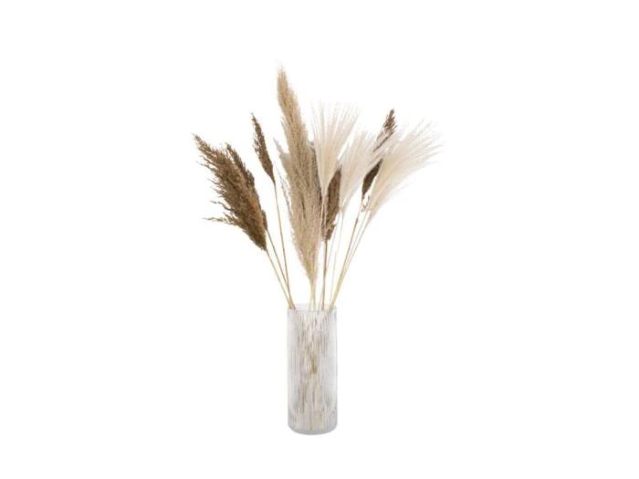 En klar glasvase med et arrangement af beige og brunt tørret pampasgræs på en hvid baggrund.
