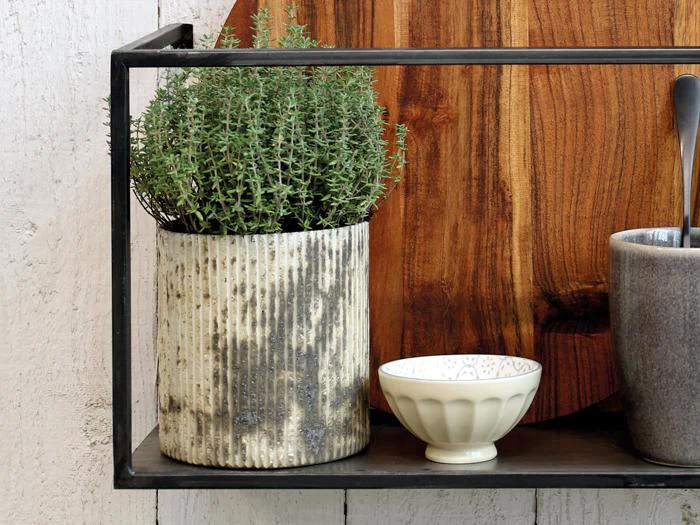 En timianplante i potte, en lille hvid skål og en grå kop står på en sort metalhylde foran et skærebræt af træ.