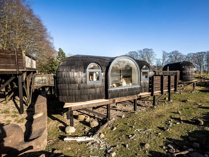 En moderne træhytte med en afrundet form og et stort buet vindue står på pæle i et naturligt græsområde omgivet af træer.