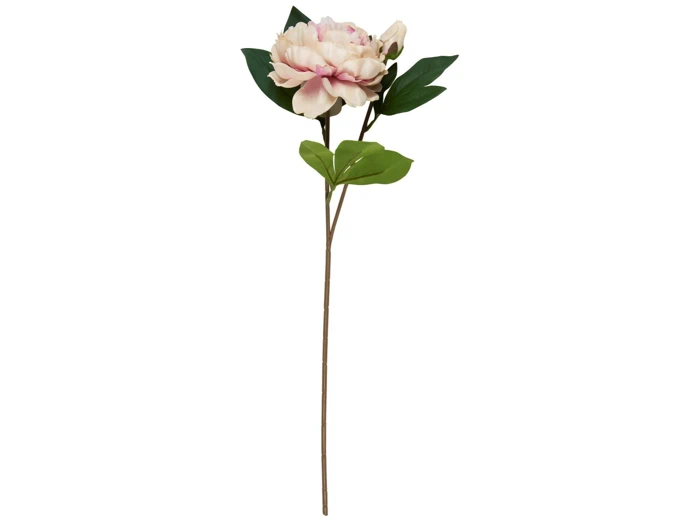En enkelt kunstig pæonstængel med lyserøde og cremefarvede kronblade, grønne blade og en lang brun stilk på en hvid baggrund.