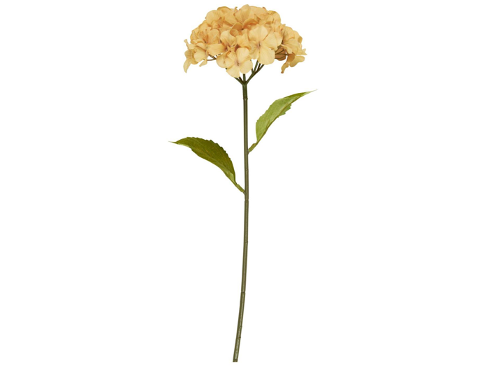 En enkelt langstilket blomst med lysorange kronblade og to grønne blade på en hvid baggrund.