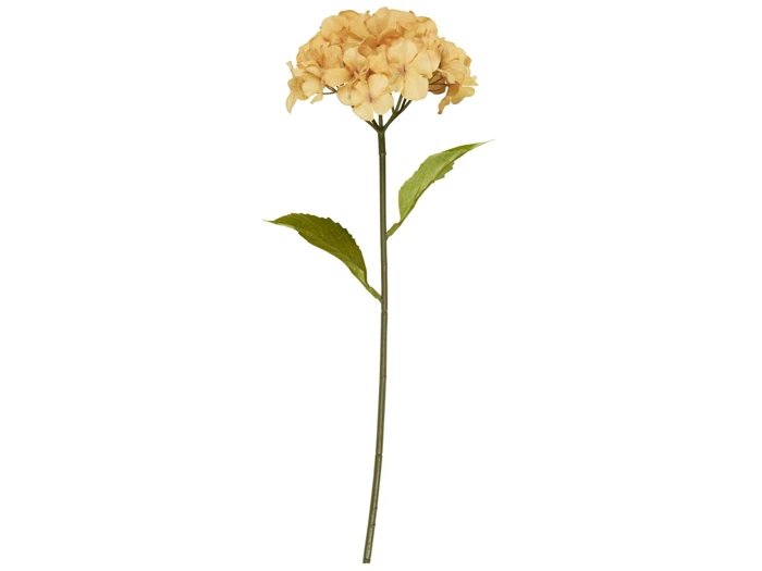 En enkelt langstilket blomst med lysorange kronblade og to grønne blade på en hvid baggrund.