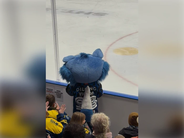 En blå maskot med en fluffy hale står ved siden af banen og kigger ud mod isen, mens ishockeyfans ser på og klapper på tribunen.