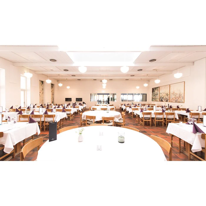 Musikalsk oplevelse for 2 personer med overnatning på Hotel Fuglsøcenteret (Mathilde Falch)