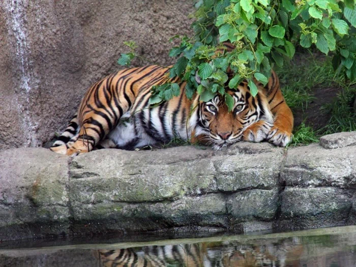 Ophold i hjertet af Aalborg - Velkomstdrink, "kaffe to go" og morgenbuffet på Helnan Phønix Hotel