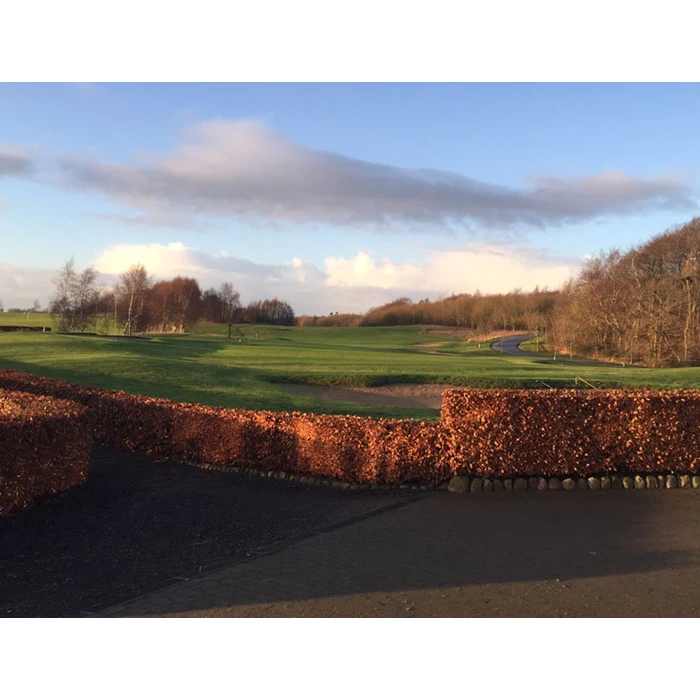 At forurene fjerkræ tilskuer Århus Golf Club