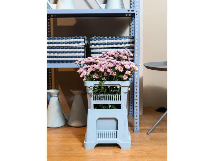 I en blå plastikkasse står en potte med lyserøde margueritblomster på et trægulv nær metalhylder med flettede kurve og vaser.