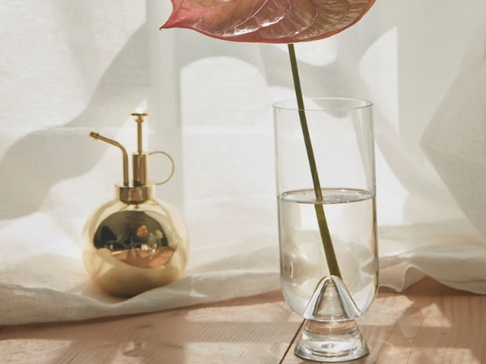 En lyserød anthuriumblomst i et glas vand står på et træbord ved siden af en gylden plantebruser, mens sollyset strømmer ind gennem de gennemsigtige gardiner.