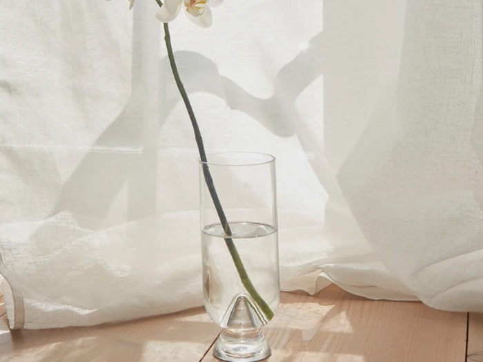 En enkelt hvid orkidé i et glas vand står på en solbeskinnet træplade med hvide, gennemsigtige gardiner i baggrunden.