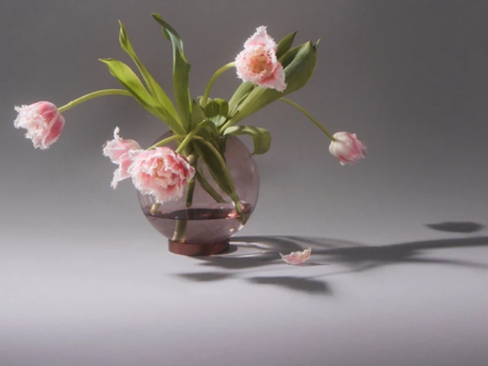 En rund glasvase med vand indeholder visne lyserøde tulipaner; et kronblad er faldet ned på overfladen og kaster en blød skygge på en grå baggrund.