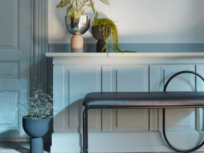 Et moderne interiør med en lyseblå panelvæg, en sort bænk og potteplanter i slanke beholdere på en hylde og på gulvet.
