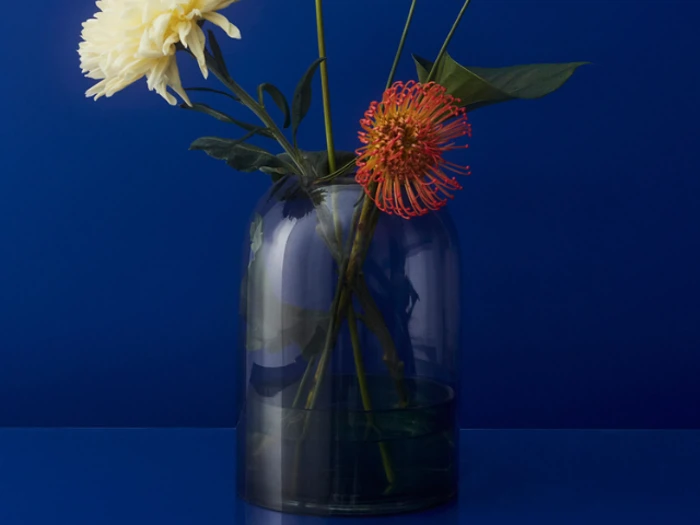 En klar glasvase med en gul og en orange blomst på en dybblå baggrund.