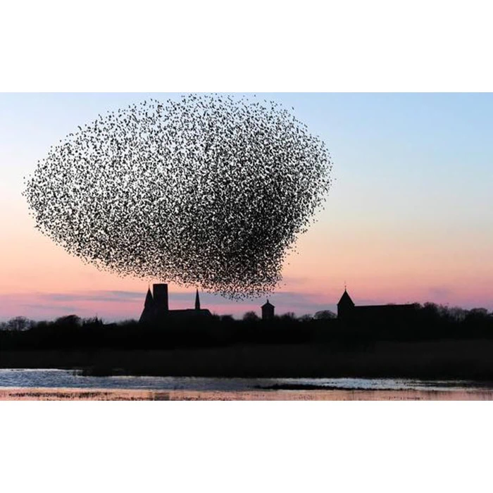 Oplev DK´s største naturfænomen Sort Sol inkl. ophold for 2 på Hotel Ballumhus