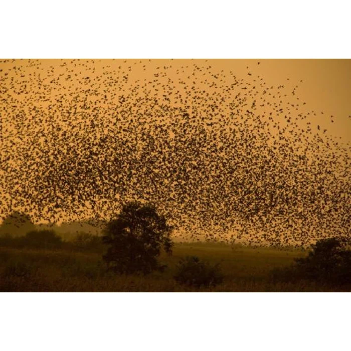 Oplev DK´s største naturfænomen Sort Sol inkl. ophold for 2 på Hotel Ballumhus