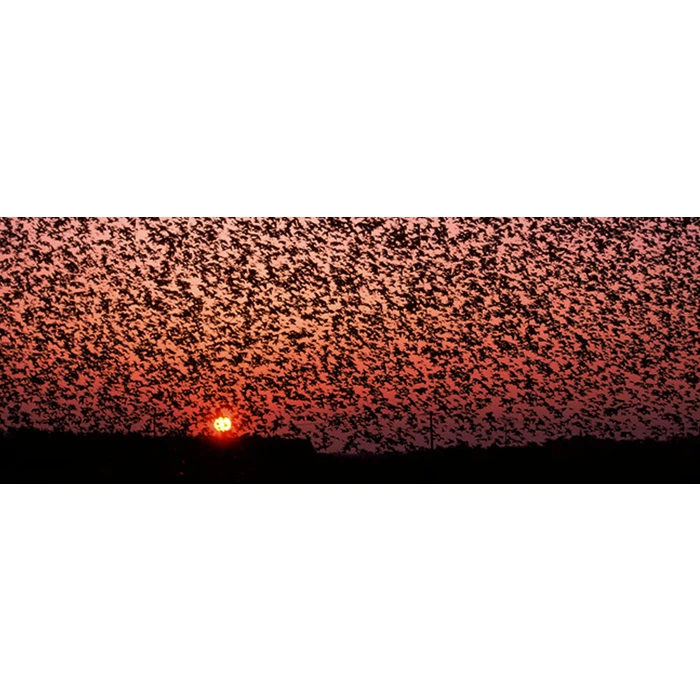 Oplev DK´s største naturfænomen Sort Sol inkl. ophold for 2 på Hotel Ballumhus