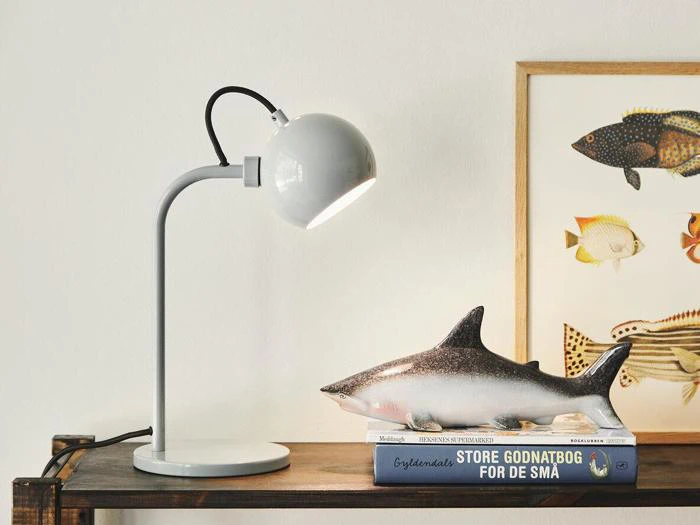 En hvid skrivebordslampe oplyser en hylde med en hajfigur på bøger ved siden af en indrammet fiskeillustration på en hvid væg.