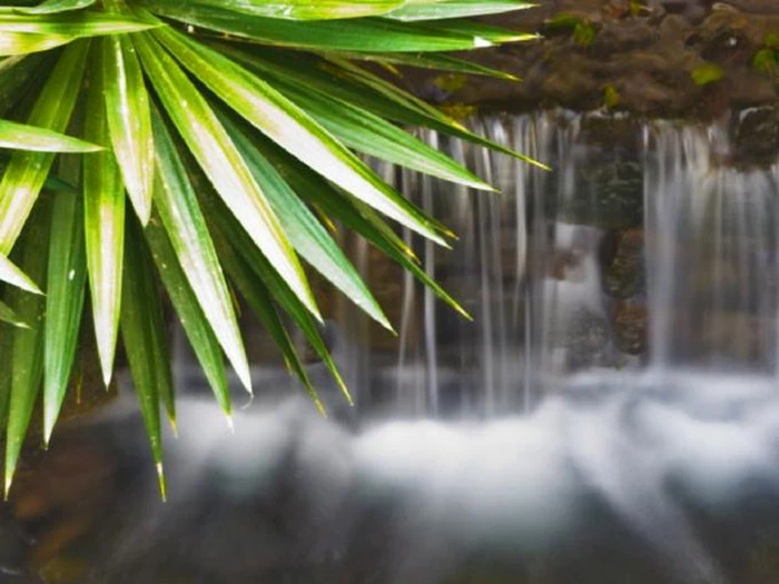 1 uges ferie til Lanzarote, med morgenmad, med Bravo Tours (Afrejse 24/11 fra Billund)