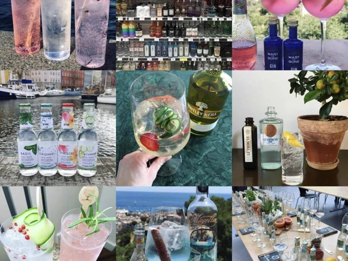 Ekslusiv Ginpakke fra WhynotGin