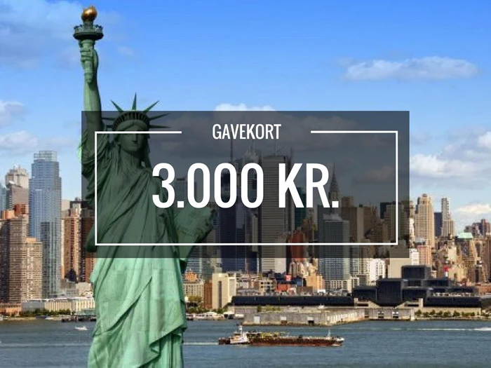 Gavekort a kr. 3.000,- til Bifrost rejser