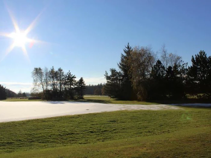 En skarp sol skinner over en græsmark med pletter af sne og en gruppe træer i baggrunden under en klar blå himmel.