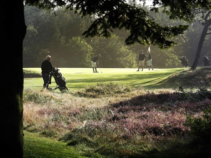 Fire personer spiller golf på en grøn bane omgivet af træer; en putter, mens andre står i nærheden, og en anden person står ved siden af en golfbag i skyggen.