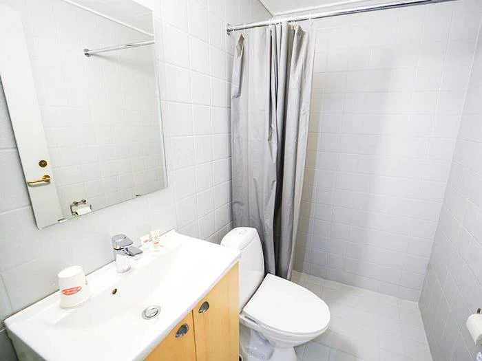 Et lille, rent badeværelse med hvide flisevægge, en håndvask med et spejl over, et toilet og et bruseområde med et gråt forhæng. Der står toiletartikler på håndvasken.