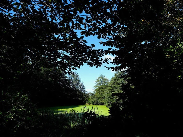 Miniferie på Vissenbjerg Storkro midt på fyn