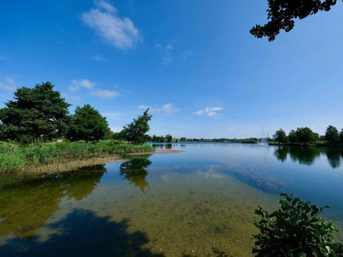 En rolig sø, der reflekterer en blå himmel med spredte skyer, omgivet af grønne træer og buske langs bredden på en solrig dag.