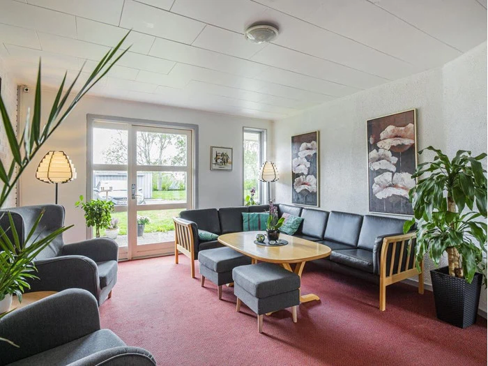 En lys stue med store vinduer, grå sofaer, et sofabord i træ, indendørs planter og vægkunst. Lyset strømmer ind og fremhæver det hyggelige, indbydende rum med rødt gulvtæppe.