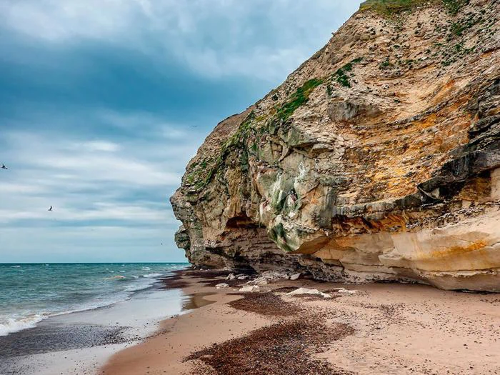 En klippeklint rejser sig over en sandstrand med spredt tang ved siden af et roligt hav under en overskyet himmel. Et par fugle flyver tæt på klippen.
