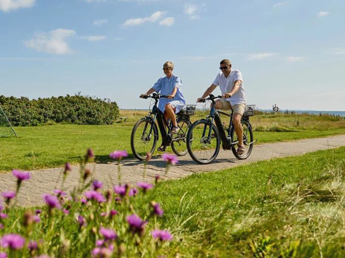 To personer cykler på en asfalteret sti gennem en græsklædt park med lilla blomster i forgrunden og blå himmel over.
